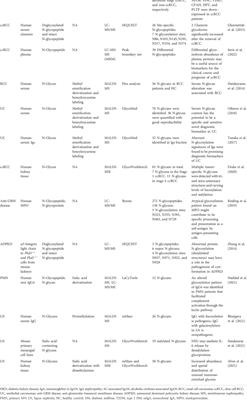 Mass spectrometry-based N-glycosylation analysis in kidney disease